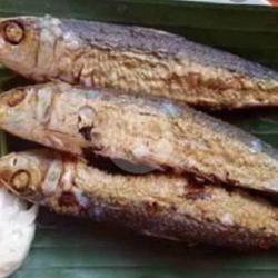 Ikan Japuh