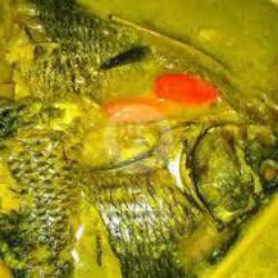 Ikan Mas Bumbu Kuning