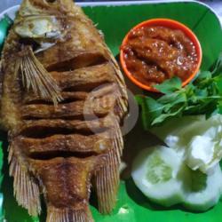 Kakap Goreng   Sambal