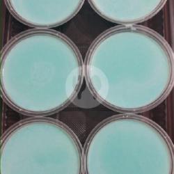 Silky Puding Bubble Gum