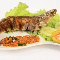 Paket Ikan Gabus Goreng