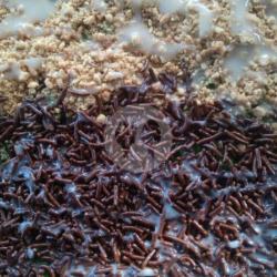 Pandan Kacang Cokelat
