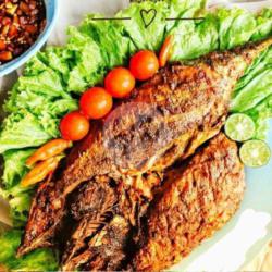 Ikan Tongkol Bakar Size S