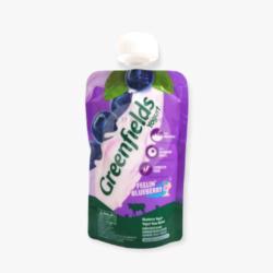 Greenfield Yogurt Squeeze Blueberry 110gr