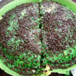 Pisang Susu Pandan