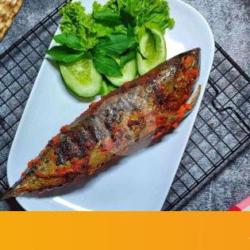 Nasi Ikan Tongkol Bakar Khas Arang Tampurung