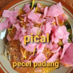 Lontong Pical /pecel Padang