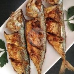 Ikan Gembung Goreng/bakar