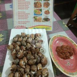 Kerang Macan Rebus