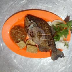 Bawal Goreng Tanpa Nasi