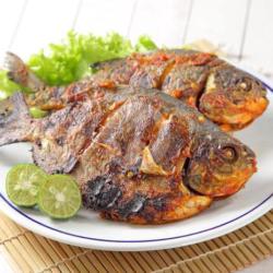 Ikan Bawal Tawar Bakar