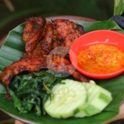 Burung Bakar Rica