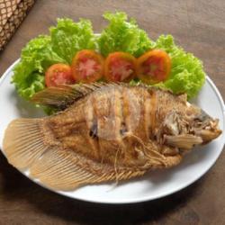 Gurame Goreng
