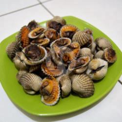 Kerang Darah Rebus