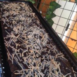 Brownies Panggang Keju