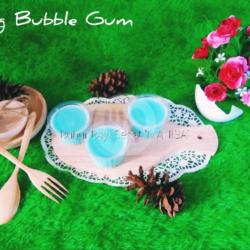 Puding Bubble Gum