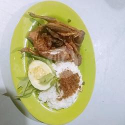 Nasi Burung Dara