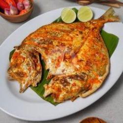 Ikan Bawal Hitam