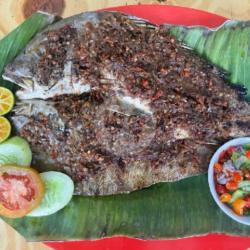 Ikan Kaci - Kaci / Kaneke Bakar 500gr