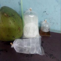 Kelapa Satuan