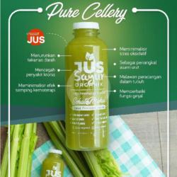 Pure Celery For Asam Urat