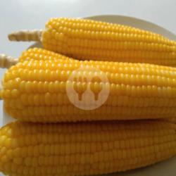 1 Pcs Jagung Rebus