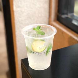 Fresh Mojito Mint