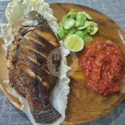 Ikan Nila Segar