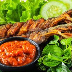 Lele Goreng (tanpa Nasi)   Tahu Tempe   Sambel Terasi