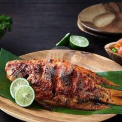 Nila Bakar Sambal Gledek.