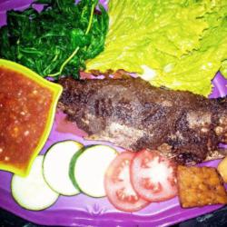 Ikan Slikur  Nasi Tahu Tempe Lalapan Sambal Mentah