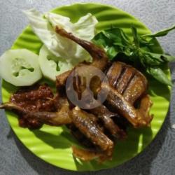 Burung Dara Goreng