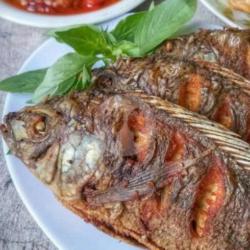 Ikan Mujaer Goreng   Nasi