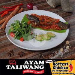 Lele Bakar Taliwang