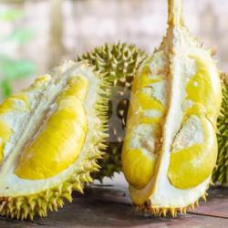 Duren Kocok