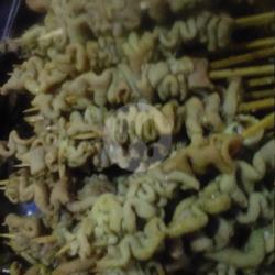 Sate Usus Goreng / Bakar