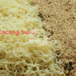 Terang Bulan Keju Kacang Susu