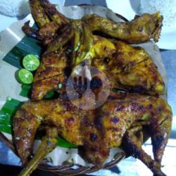 Ayam Negri 1 Ekor