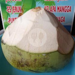 Kelapa Bulet Murni