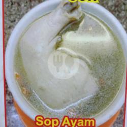 Ayam Obat