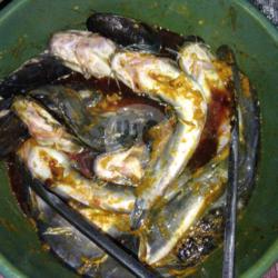 3 Ikan Lele Bumbu ( Tidak Di Goreng )