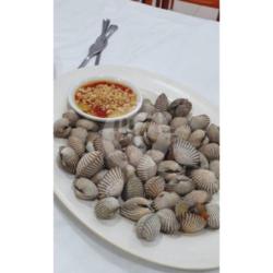 Kerang Dara