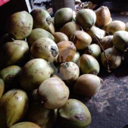 Kelapa Butir 1 Buah Dengan Gula Dan Es