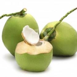 Kelapa Muda Butir 5 Butir Gratis 1 Bungkus Es Kelapa Muda Gelas