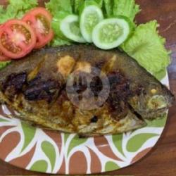 Ikan Baronang Bakar Small