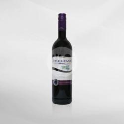 Two Ocean Shiraz 750 Ml