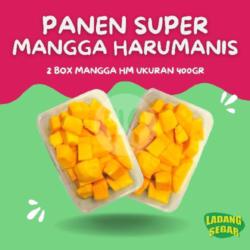 Paket Super Mangga Harumanis