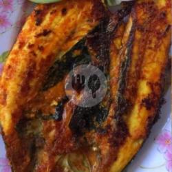 Ikan Bolu Bakar