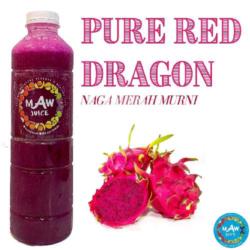 Pure Red Dragon Fruit / Naga Merah Murni