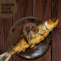 Ikan Bandeng Segar